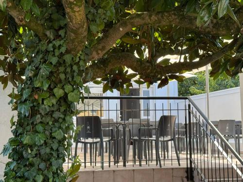 a tree with chairs and a table under it at Albergue Internacional in Sarria