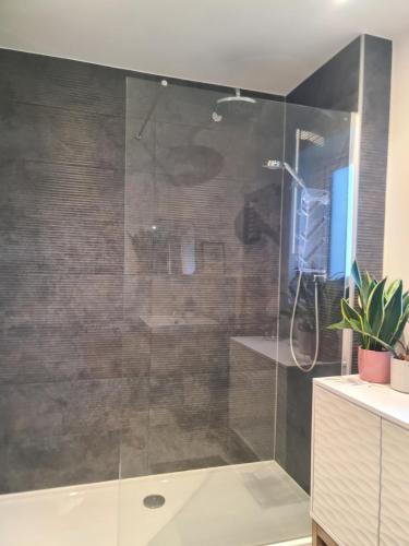 a shower with a glass door in a bathroom at The Snuggery-Hot Tub-Parking-Eco in Topsham