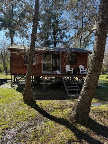 a log cabin in the woods with two trees at Sweet Home 2 in Tigre