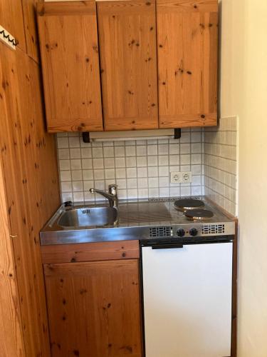 a small kitchen with a sink and a stove at Haus Anton in Sankt Aegyd am Neuwalde