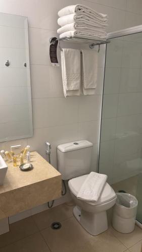 a bathroom with a toilet and a sink and a mirror at Le Privilège Mont Blanc in Ribeirão Preto