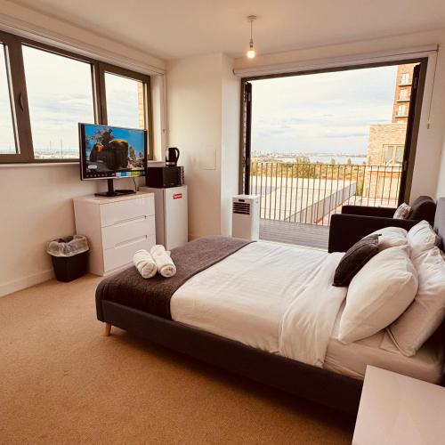 Μια τηλεόραση ή/και κέντρο ψυχαγωγίας στο Riverside Rooms and Apartments