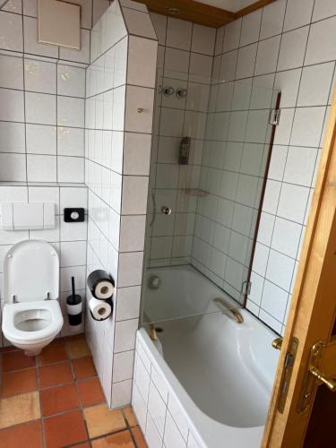 a bathroom with a shower and a toilet and a tub at Hotel Hessler-Veranda in Maintal
