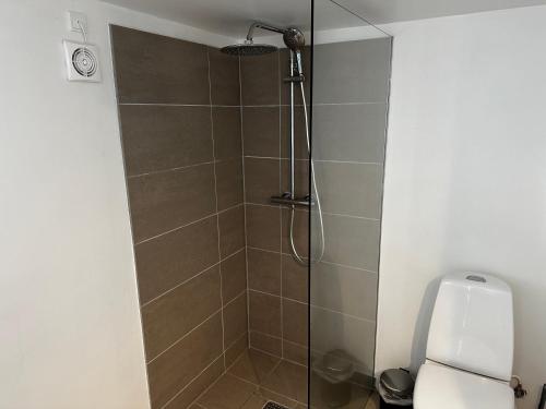 a shower with a glass door next to a toilet at Ebogaard in Hillerød