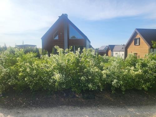 a house with a bunch of bushes in front of it at Jaśminowy Sad in Mikołajki
