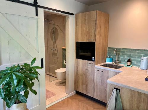 a bathroom with a shower and a sink and a toilet at Bij Julia in Den Burg