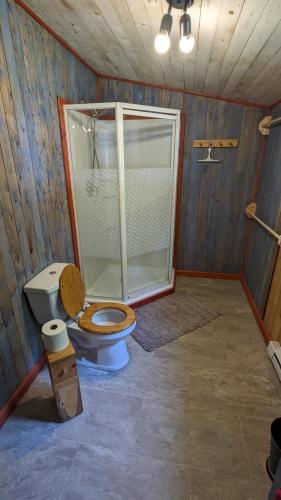 a bathroom with a toilet and a shower at Grangette Entre Chiens et Loups in LʼAnse-Saint-Jean