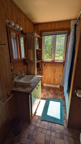 a bathroom with a sink and a window at Grangette Entre Chiens et Loups in LʼAnse-Saint-Jean