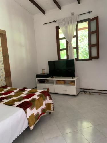 TV a/nebo společenská místnost v ubytování hospedaje queremal casa de campo ecopolis