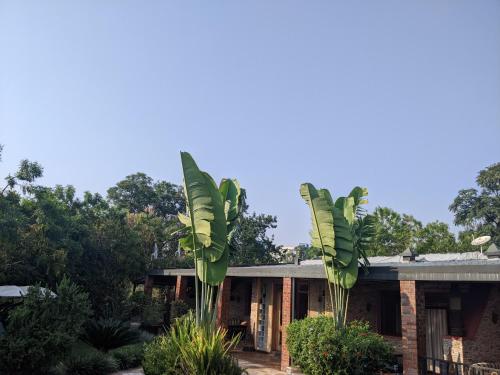 a house with palm trees in front of it at Inside Afrika Boutique Hotel in Kigali