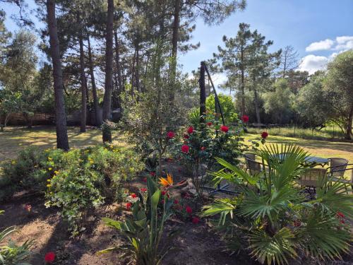 Fotografie z fotogalerie ubytování Tenutella v destinaci Olmeto