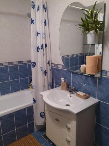 ein Badezimmer mit Waschbecken, Spiegel und Dusche in der Unterkunft Casa Cătălina in Silvaşu de Jos