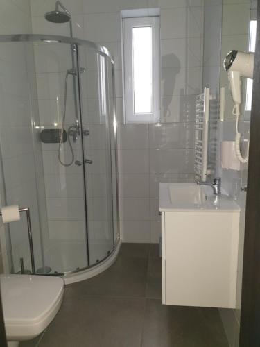 a bathroom with a shower and a toilet and a sink at Villa6 in Pobierowo
