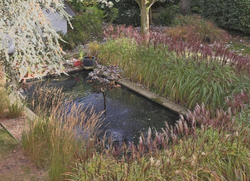 a pond in the middle of a garden with tall grass at Stone Farm in Lavenham