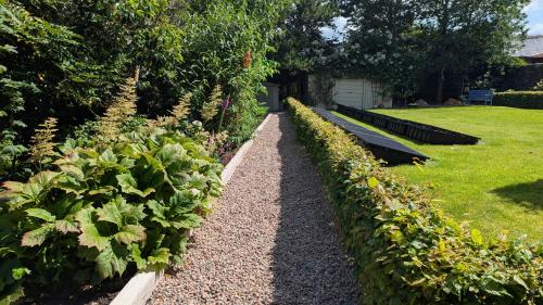 a row of bushes with a bench in a garden at Riverside Cottage in Castledawson