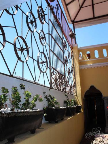 a group of potted plants sitting on a wall at Hotel Boutique Posada XVII in Puebla