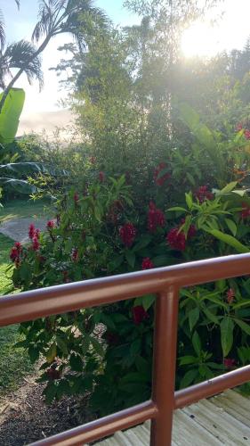 Un jardín fuera de hotel Ecopolis