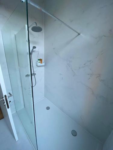 a bathroom with a shower with a glass door at Grote Markt suite 3 in Antwerp