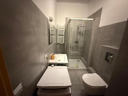 un bagno con doccia, lavandino e WC di Günstige Monteurwohnungen östlich von Leipzig Nähe A14 in Wurzen a Wurzen