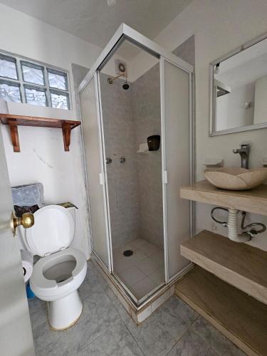 a bathroom with a shower and a toilet and a sink at Departamento en la Huertas in Barrio Nuevo