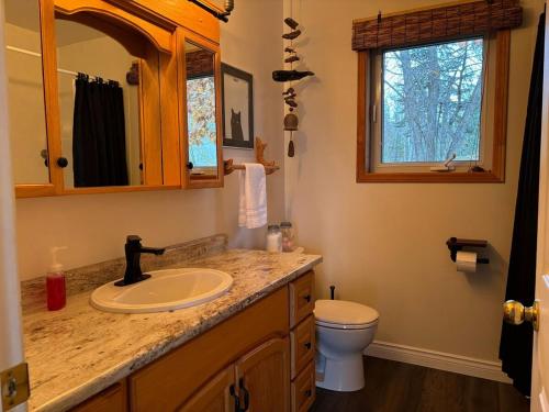 フォートフランシスにあるPeaceful Year Round Lakefront Getaway Nickel Lakeの洗面台とトイレ付きのバスルーム