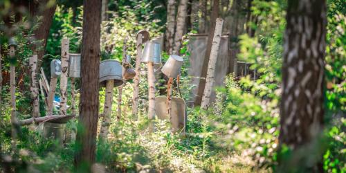 a row of fence posts in a forest at WieloDom - kryjówka na wsi in Wielogóra