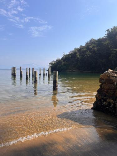 a group of poles in the water on a beach at Fauna in Praia do Bananal