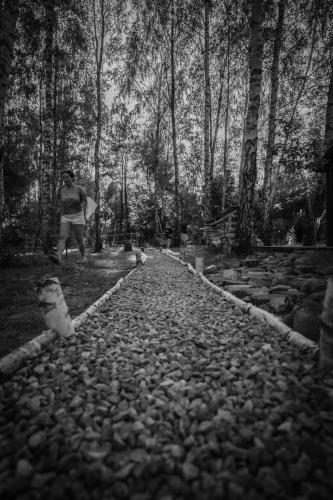 a man walking down a rocky road in a forest at WieloHome in Wielogóra