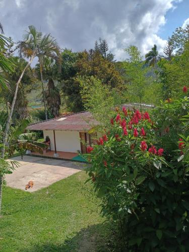 ecopolis hospedaje casa grande en El Queremalにある庭