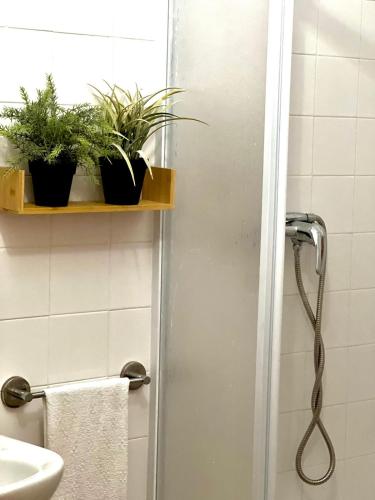a bathroom with a shower with potted plants on a shelf at Casa Almaraz in Reguengos de Monsaraz