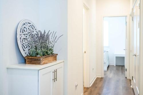 a white hallway with a plant in a wooden box at Central Location Master Bedroom w Shared Bathroom in Irvine