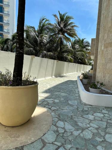 a stone walkway with a tree in a large pot at Marabierto Beachfront Escape in Arizona