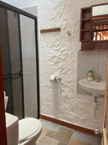 a bathroom with a toilet and a sink at Casa Patrimonial Abejorral - CASA GASAMA in Abejorral