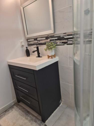 a bathroom with a sink and a mirror and a shower at Equipped Basement Great Location in London