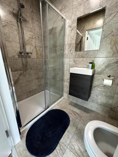 a bathroom with a shower and a sink and a toilet at Railway House, Halfway in Ballinhassig