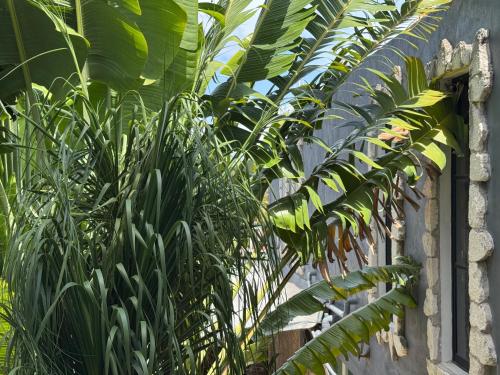 Zahrada ubytování orula experiences