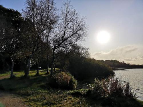 a body of water with trees and the sun in the sky at 6 person holiday home in Ansager-By Traum in Ansager