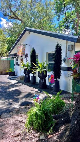 The Boutique Guest House photo 17