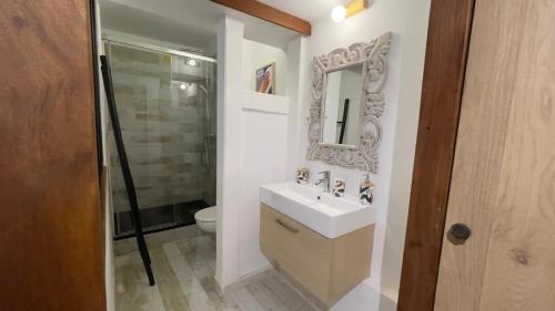 a bathroom with a sink and a toilet and a mirror at Island Escape, Marina Paradise & Beach Adventures in Saint Martin