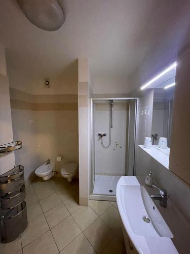 a bathroom with a shower and a toilet and a sink at Palazzina Rosa in Spormaggiore
