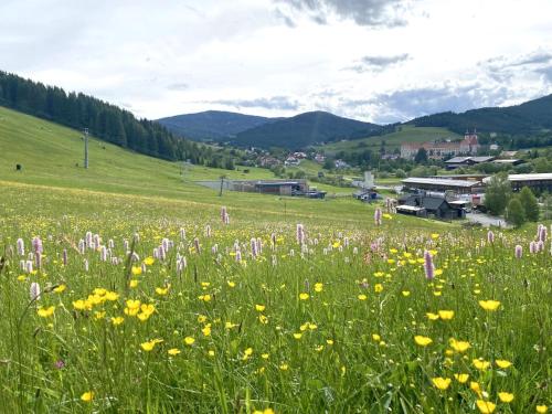 a field full of flowers in a field at Grebenzen Lodge 1028 in Sankt Lambrecht