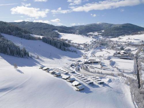 an aerial view of a ski resort in the snow at Grebenzen Lodge 51 in Sankt Lambrecht