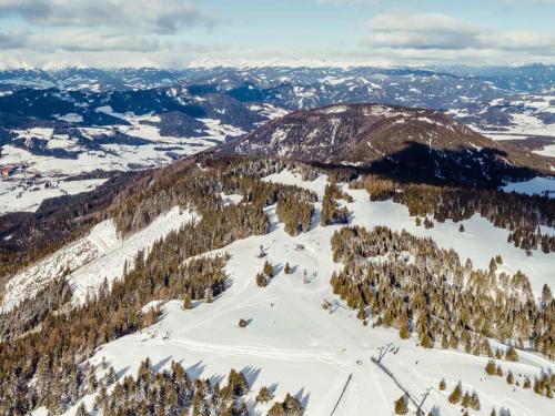 an aerial view of a mountain with snow and trees at Grebenzen Lodge 51 in Sankt Lambrecht