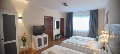 a hotel room with two beds and a television at Pârâul Rece Transfăgărășan in Cîrţişoara