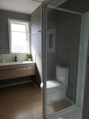 a bathroom with a toilet and a sink and a shower at Beach Cottage in Mount Maunganui