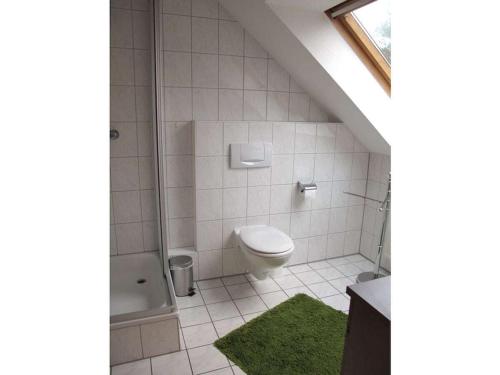 a bathroom with a toilet and a shower at in the Lenzer Höh I holiday park in Lenz