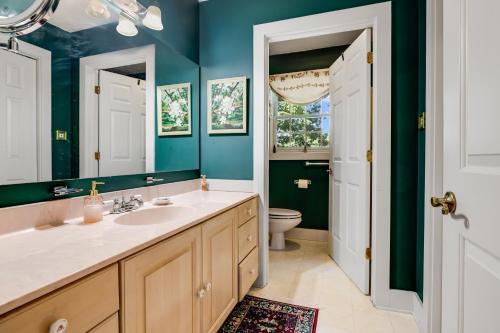 a bathroom with a sink and a toilet at Sues Mountain Charm Fire Pit Mountain Views in Hendersonville