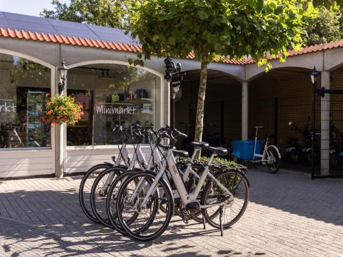 Jízda na kole v ubytování Holiday Home in Diessen with Private Sauna nebo okolí