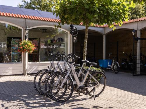 a group of bikes parked in front of a store at Holiday Home in Diessen near Tilburg 