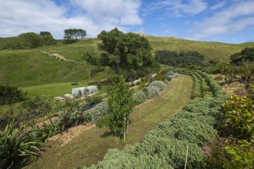 an aerial view of a farm with trees and bushes at Brand New Unit only 4 km to Gisborne CBD in Gisborne